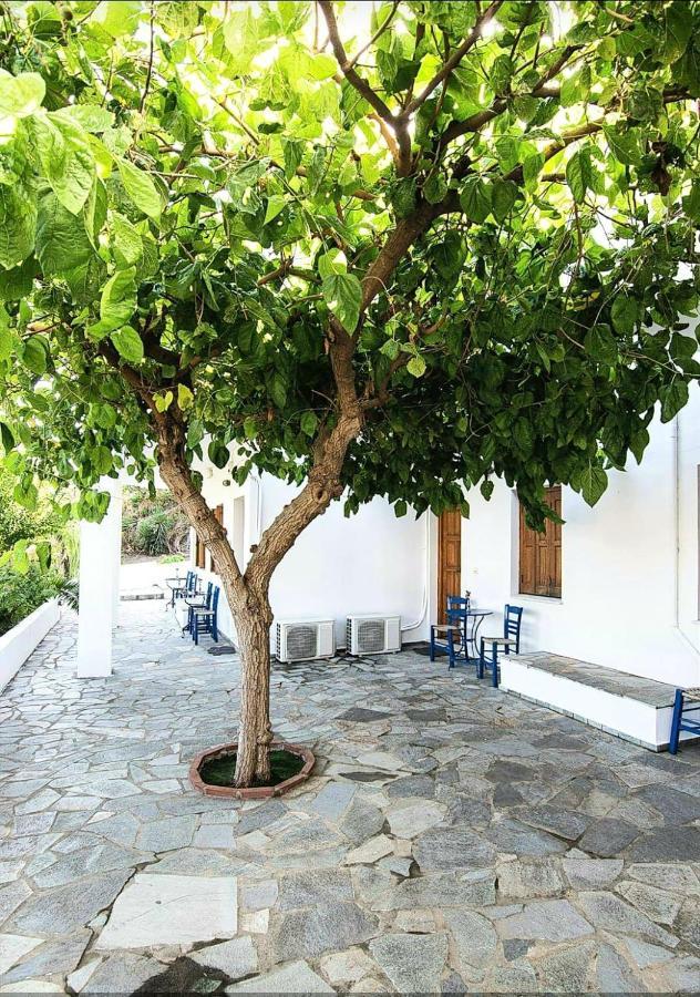Mavrikou Helen Apartments Скирос Екстериор снимка